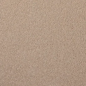 Girloon Body Teppichboden 841 sanddorn – Draufsicht